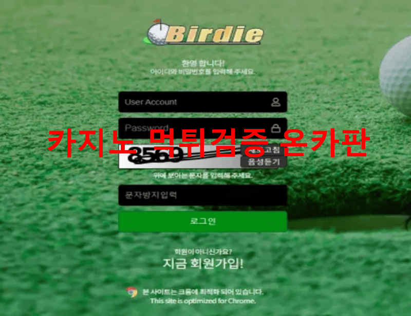 버디먹튀
