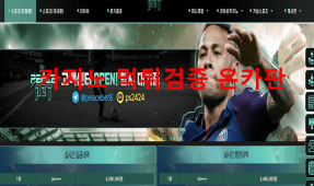 피스벳먹튀