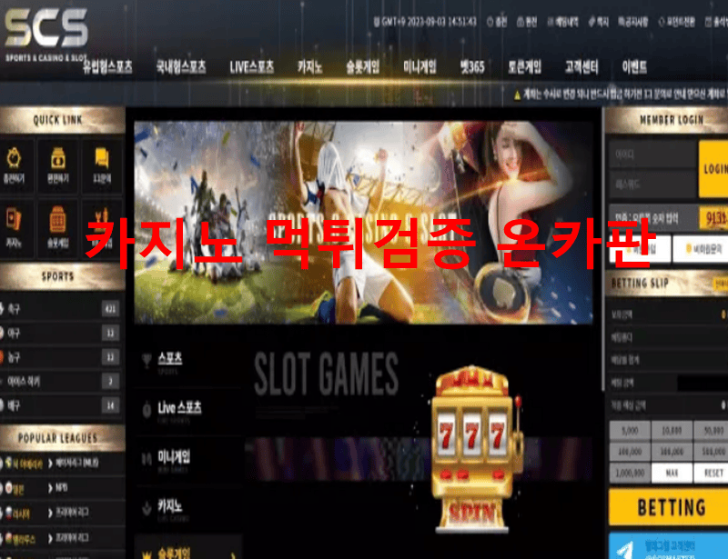 SCS먹튀