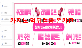 월간카지노먹튀