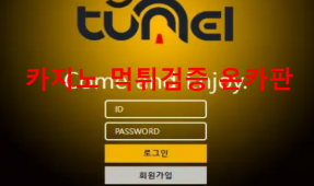이터널먹튀