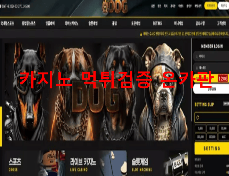 도그먹튀
