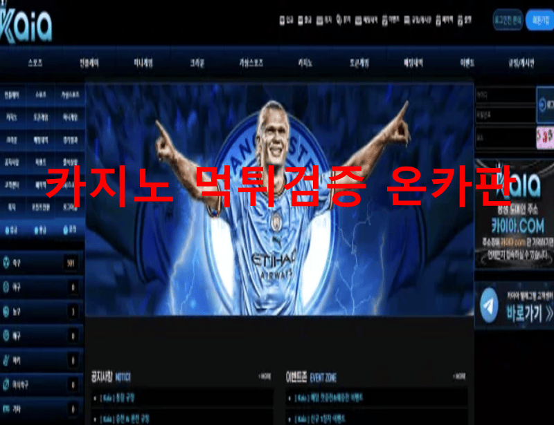 카이아먹튀