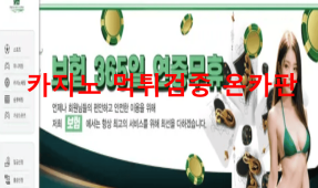 보험먹튀