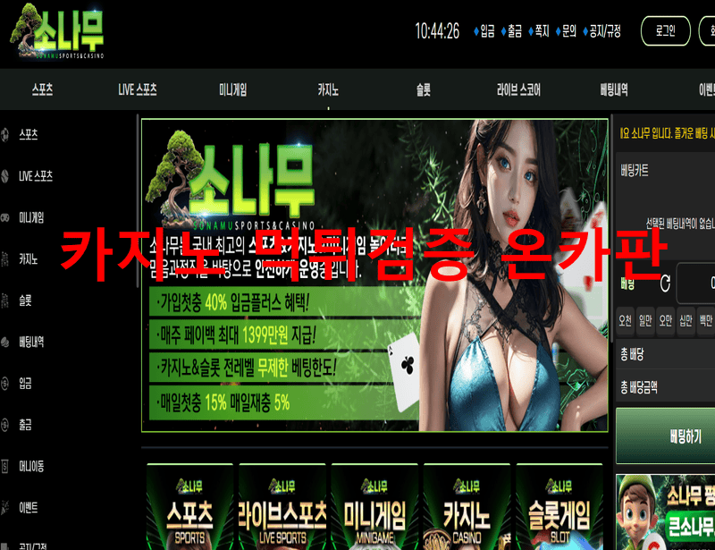 소나무먹튀