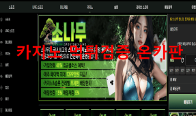 소나무먹튀