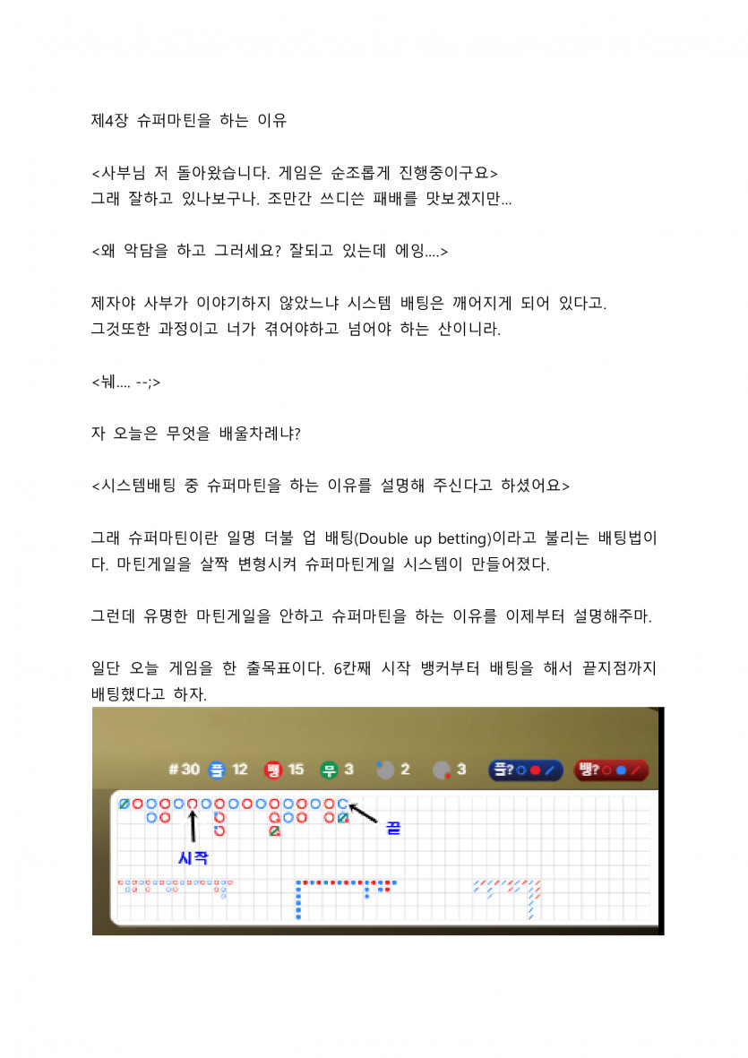 꾀돌이의 마틴 체험기 5편(0)