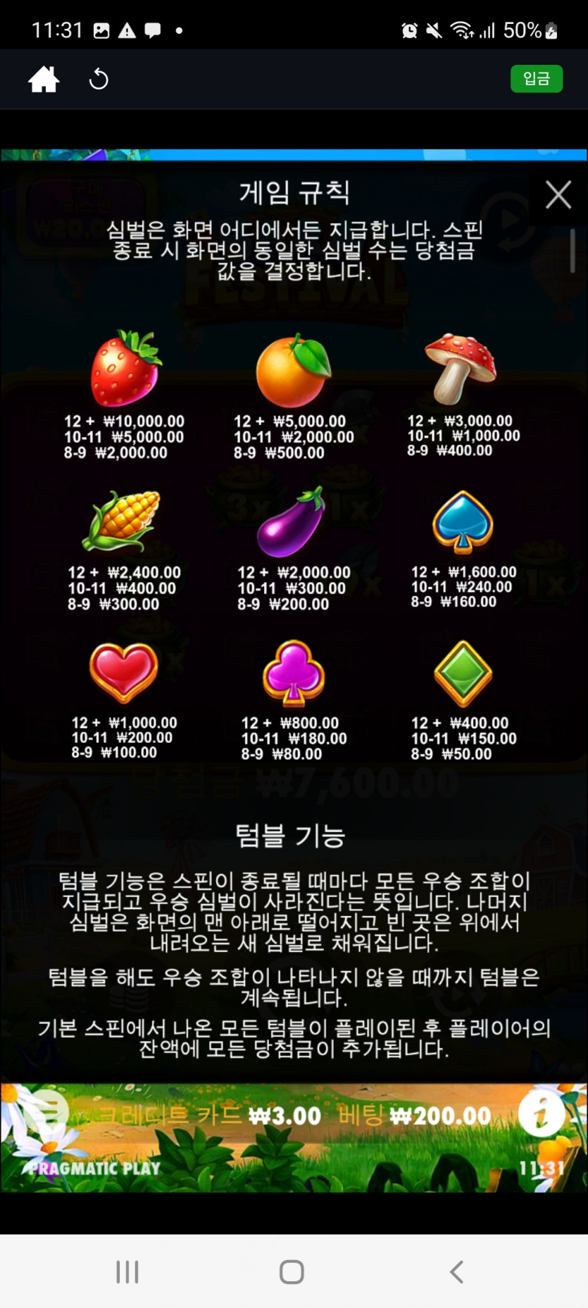 슬롯게임 게임규칙보는방법(1)
