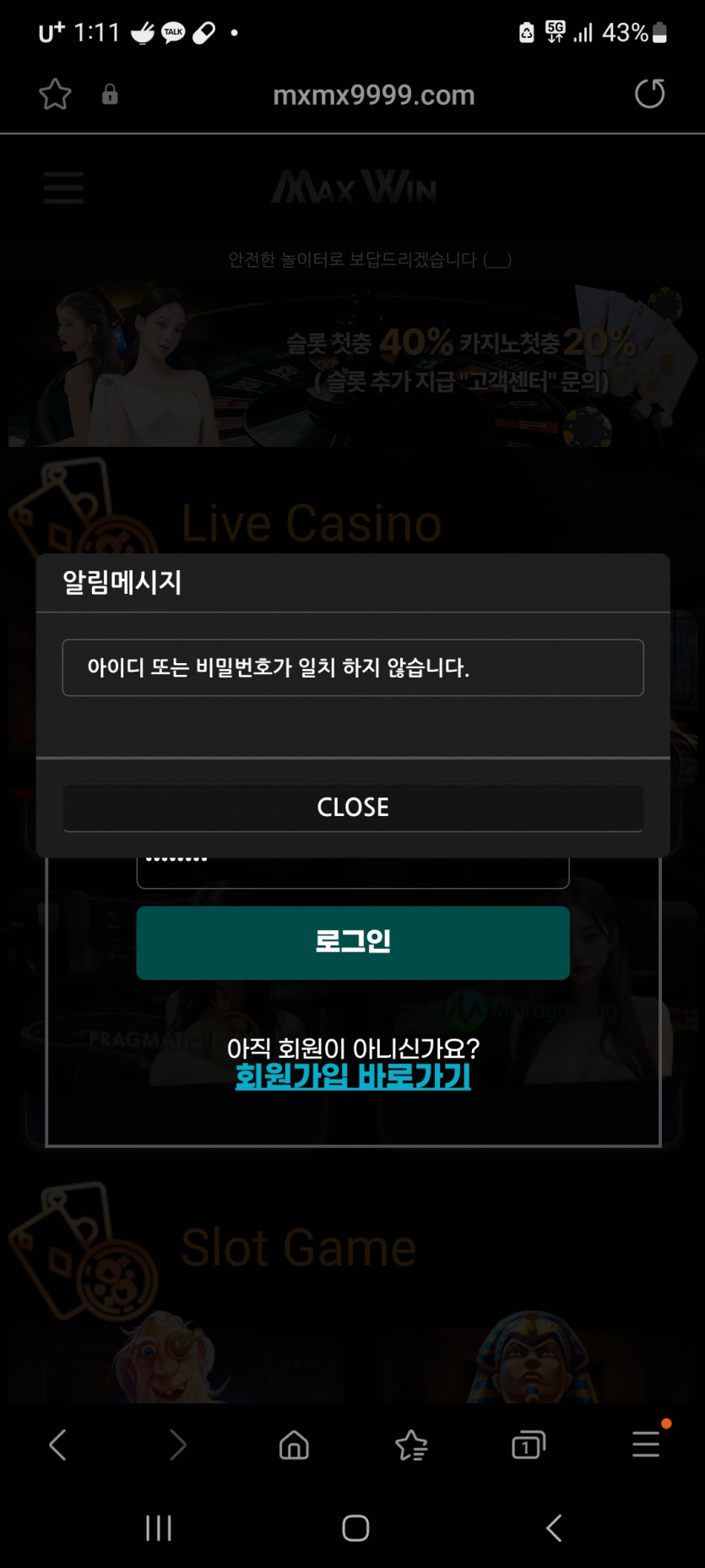 유튜브 바카라독종 9000만원 먹튀(0)