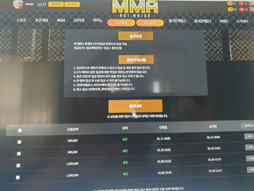 MMA 먹튀 사이트(0)