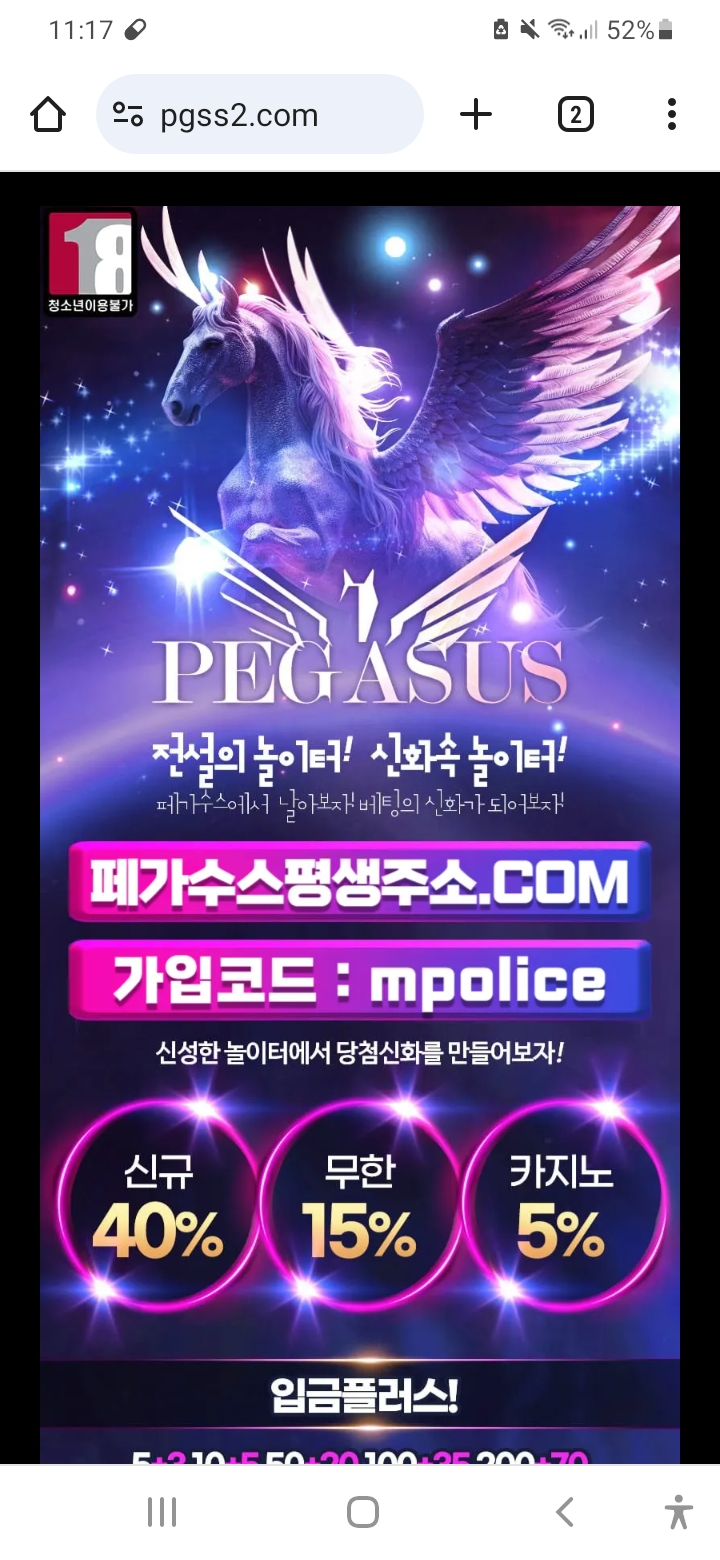 페가수스 사칭 먹튀(3)