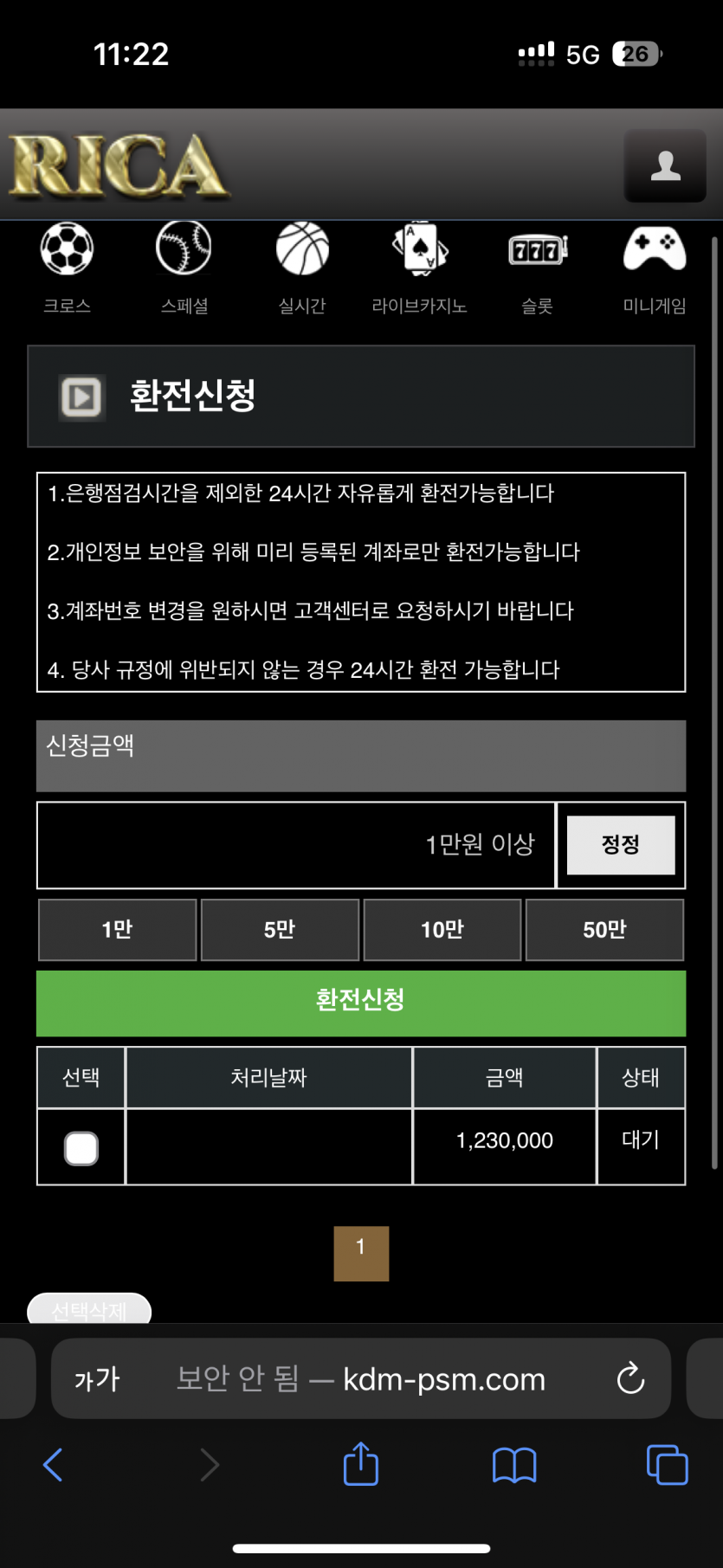 리카 먹튀(1)