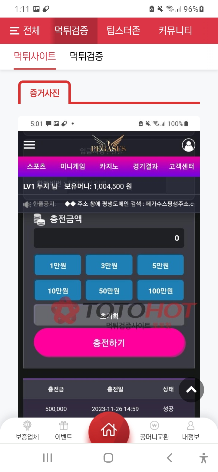 페가수스 사칭 먹튀(2)