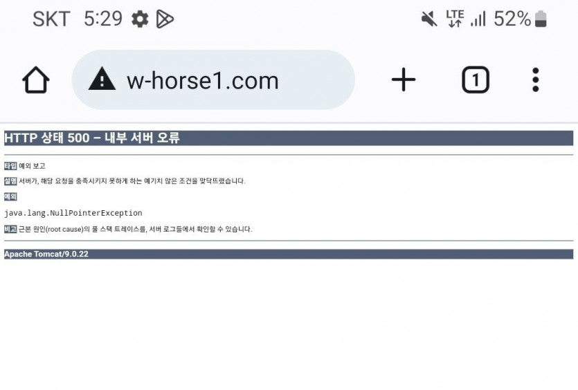 백마 카지노 먹튀!(4)