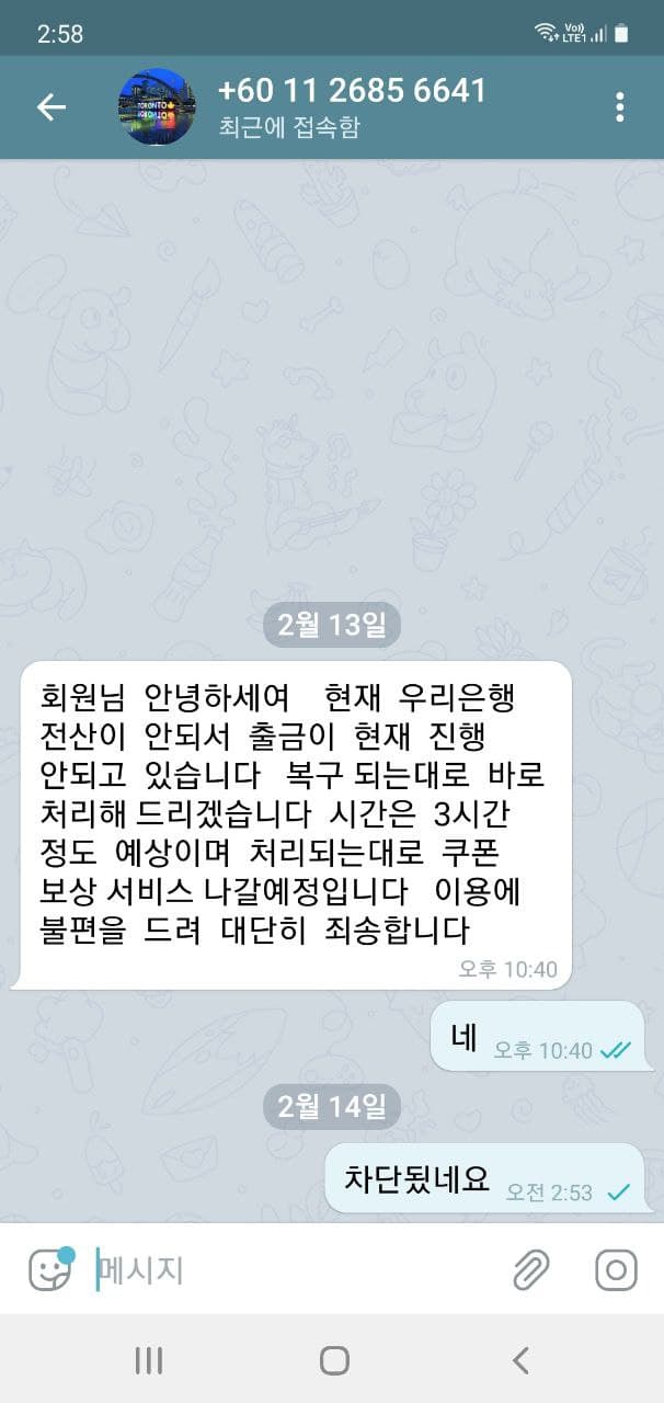 토론토 먹티(1)
