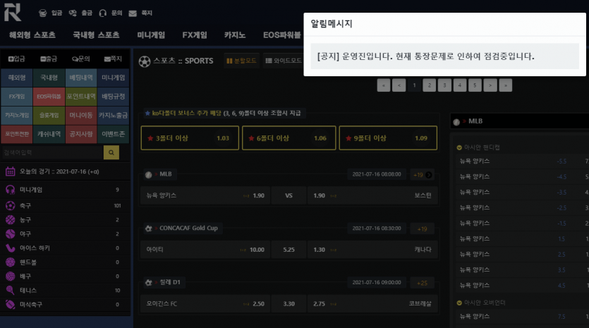 먹튀하고 점검중인 로밍벳(0)