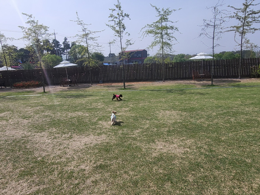 댕그라운드..(0)