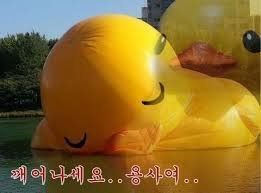 (0)