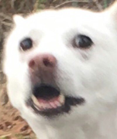 (0)