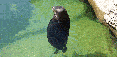 (0)