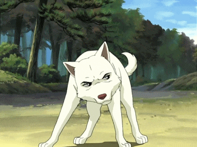 (0)