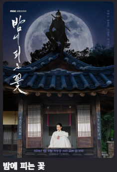 ⭐⭐⭐⭐K-드라마 공유방(신작포함)⭐⭐⭐⭐(0)