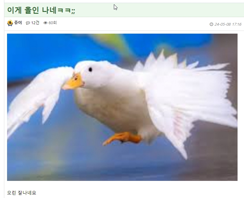 국가에 헌신하는 쥬이님께 드립니다.(1)