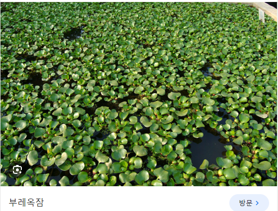 정화좀 할게요!!!(0)