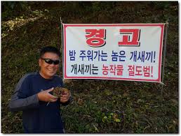 야이 개새끼들아(0)