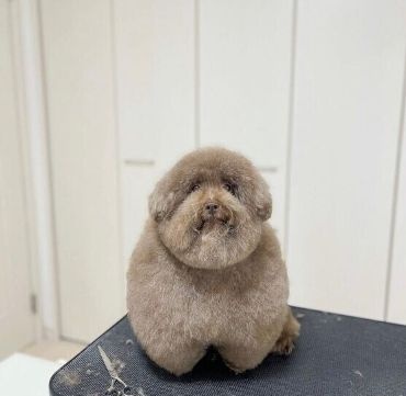 제일궁금한부분(0)