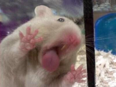 에휴ㅋㅋ 으휴ㅋㅋ 아휴ㅋㅋ(0)