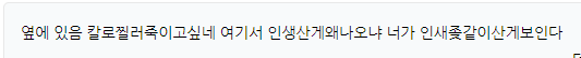 우리 짱짱이형님(0)