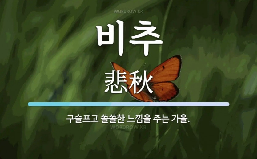 제꿈은..(0)
