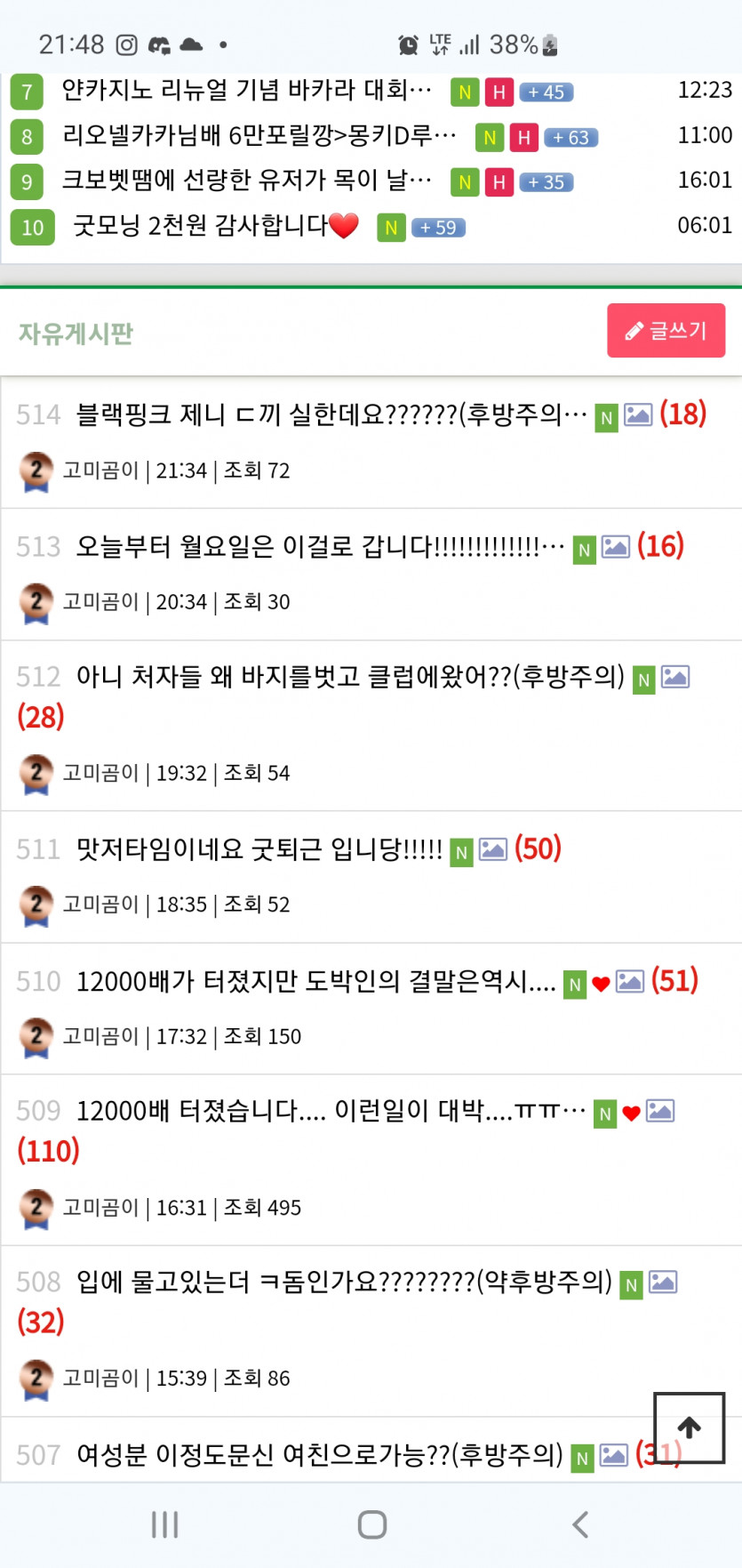 고미곰이 조진새끼야(0)