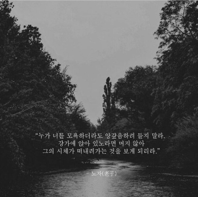 요즘 하도 시끄러워서 전 분게 갤주 노자아들 홍자가 한마디한다(2)