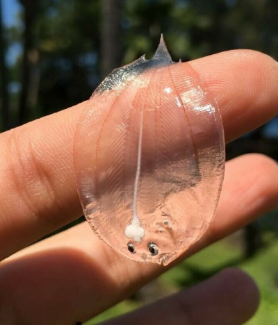 (0)