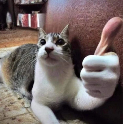(0)