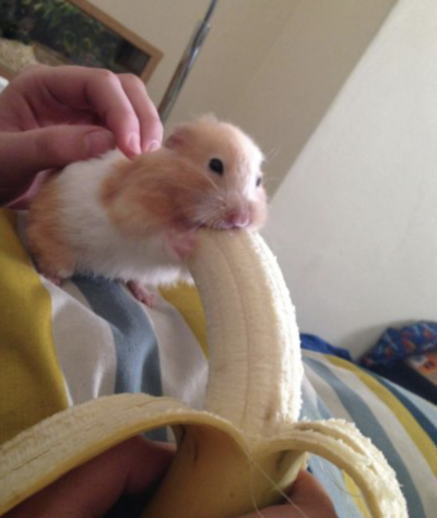 (0)