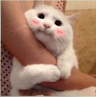 (0)
