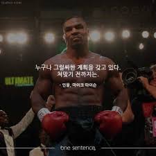 누구나 그럴싸한 계획은 갖고있지ㅋㅋ(0)