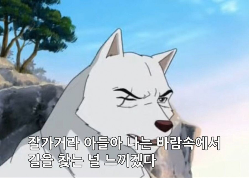 다 드루와(4)