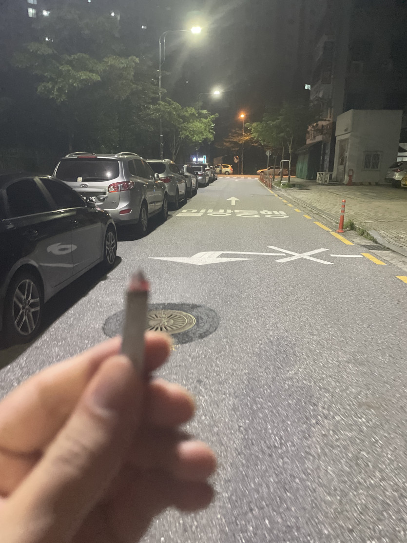 나는 도로위의 무법자(0)