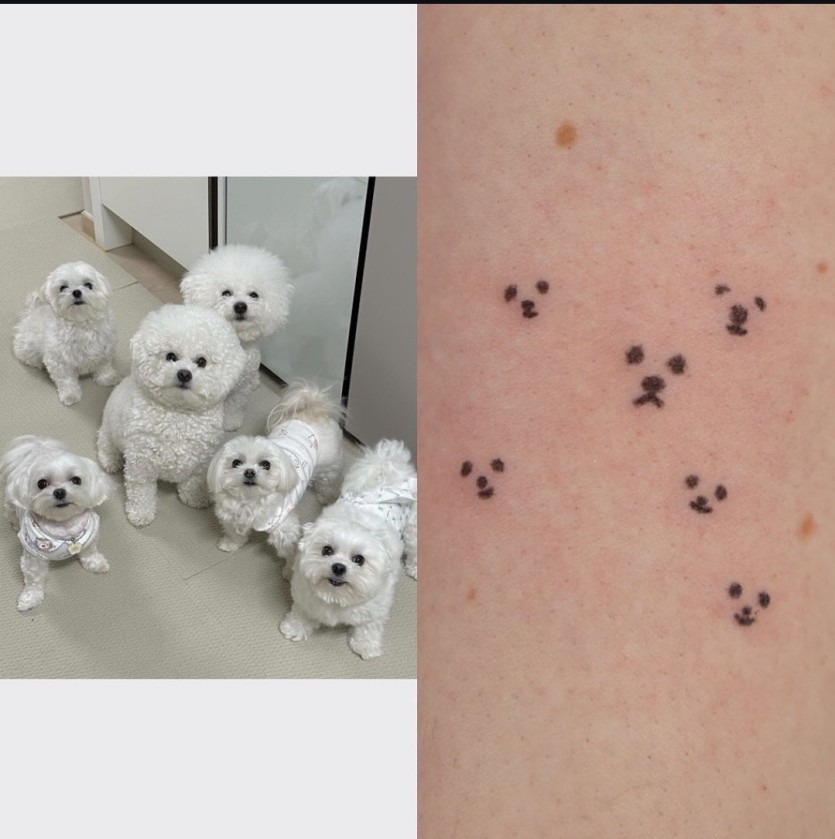 반려동물 타투한 사람들(2)