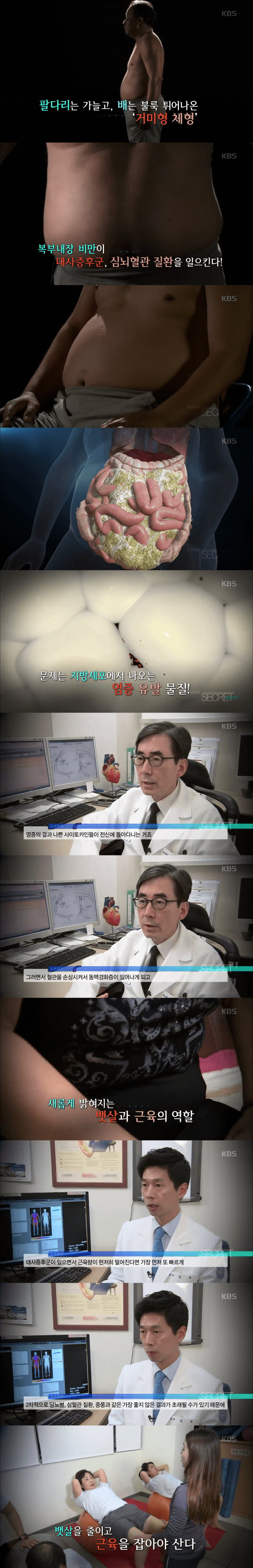 요즘 많이 보이는 체형(0)
