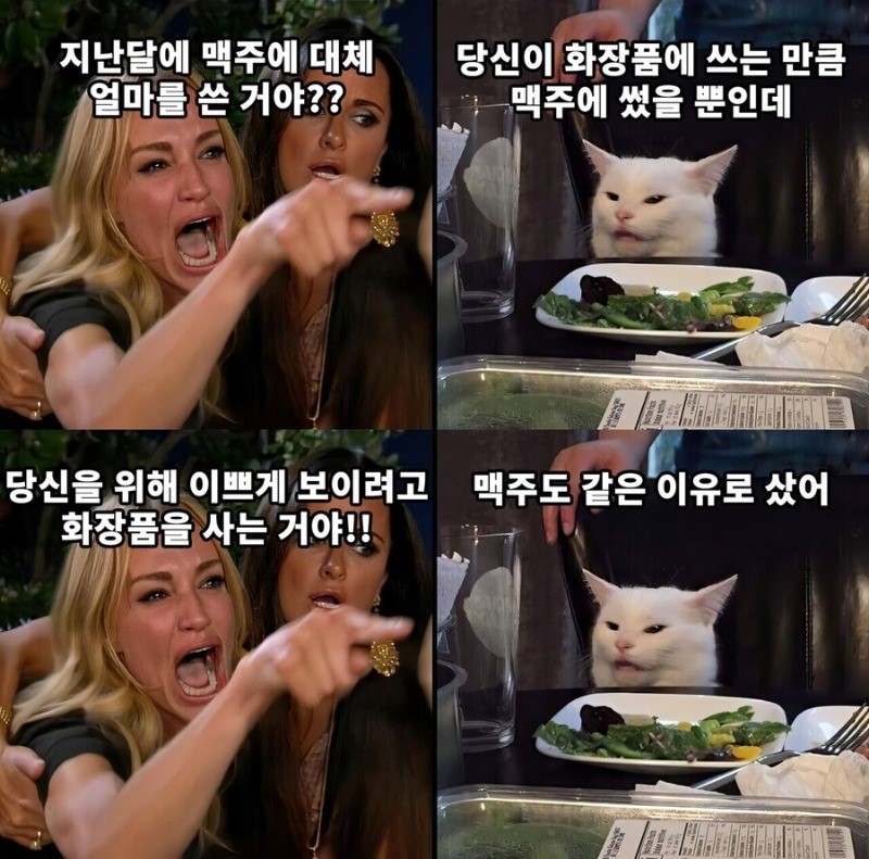 [유머] 같은 이유로 소비를한 부부(0)