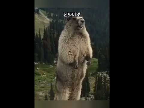 이벤트가 도대체 몇개가 열리는거죠?(0)