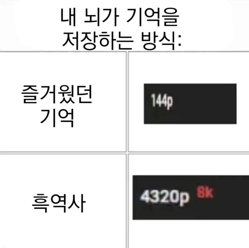 내 뇌가 기억을 저장하는 방식.jpg(0)