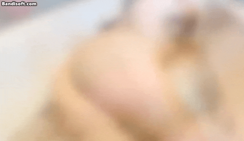 도배하는분 또 있네요 하아...(1)