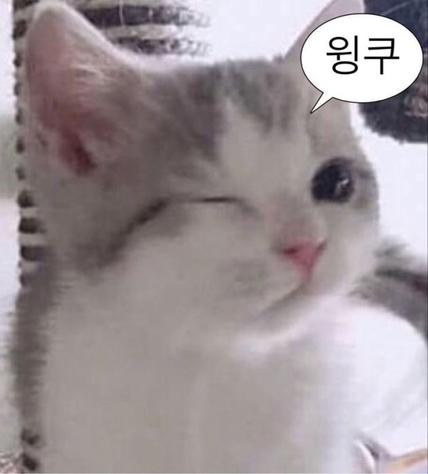 출석체크 단독 1등(1)
