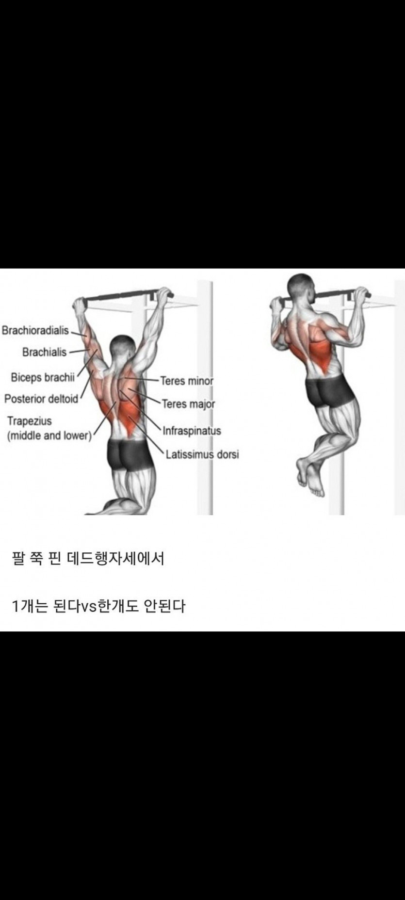 성인 남성 턱걸이(0)